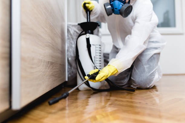 Best Flea Control Services  in Franklin Rk, PA