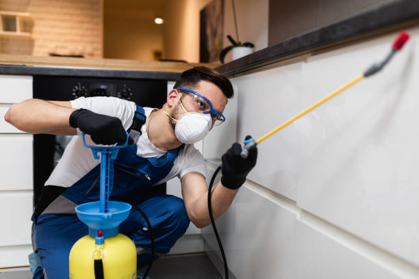 Best Affordable Pest Control Services  in Franklin Rk, PA