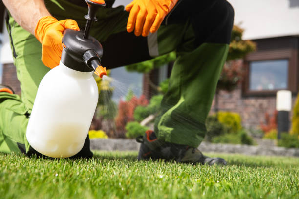 Best Best Pest Control Companies  in Franklin Rk, PA