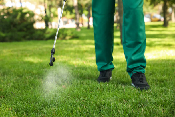 Best Mosquito Control Services  in Franklin Rk, PA