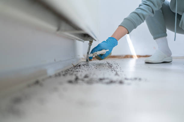 Best Exterminator Services  in Franklin Rk, PA